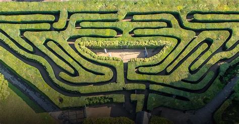 Hampton Court Palace Maze Richmond, Kew & Hampton Court