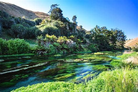 Hamurana Springs Rotorua & The Bay Of Plenty