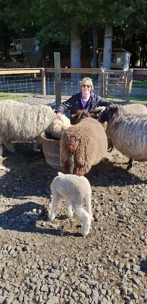 Hanmer Springs Animal Park Christchurch & Canterbury