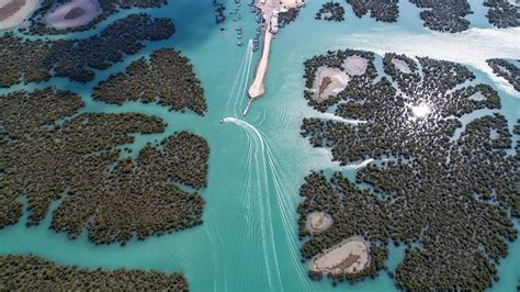 Harra Sea Forest Qeshm Island