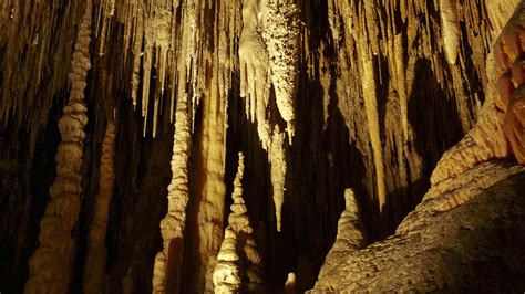 Hastings Caves & Thermal Springs The Southeast