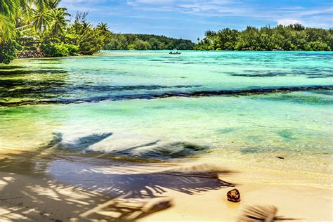 Hauru Point Mo'Orea