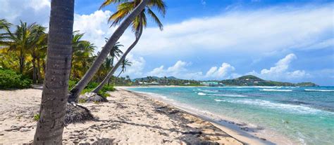 Hibiscus Beach St Croix