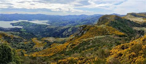 Hinewai Reserve Banks Peninsula