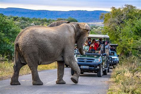 Hluhluwe-iMfolozi Park The Elephant Coast