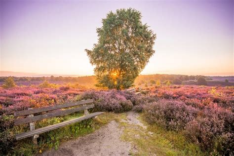 Hoge Veluwe National Park Gelderland