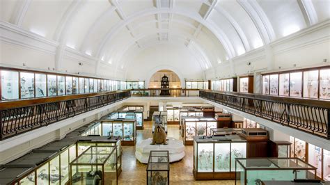 Horniman Museum Brixton, Peckham & South London