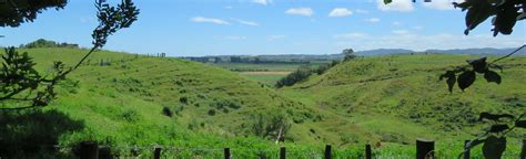 Hukutaia Domain Bay Of Plenty