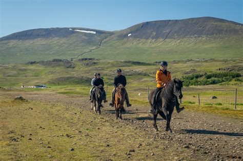Icelandic Horse History Centre Tröllaskagi