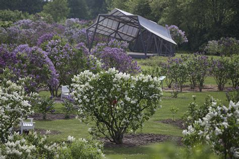 Institute of Horticulture Southern Latvia