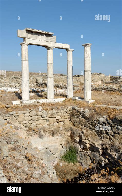 Institute of the Poseidoniasts of Berytos Delos