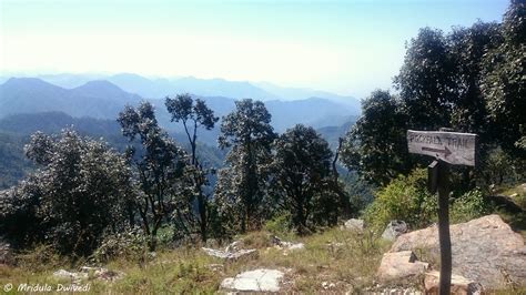 Jabarkhet Nature Reserve Mussoorie