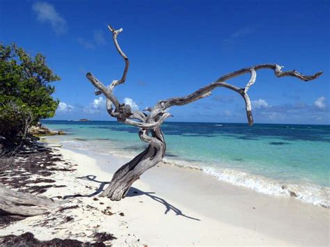 Jabberwock Beach Antigua