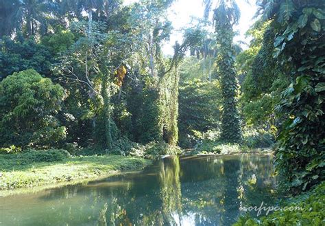 Jardines de Hershey Artemisa & Mayabeque Provinces