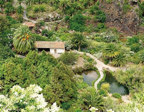 Jardín Botánico Canario Viera y Clavijo Gran Canaria