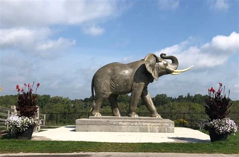 Jumbo the Elephant Memorial Southwestern Ontario