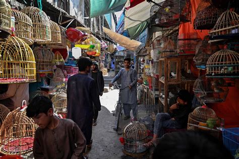 Ka Faroshi Bird Market Kabul