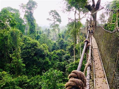 Kakum National Park Ghana