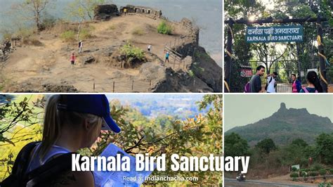 Karnala Bird Sanctuary Mumbai (Bombay)