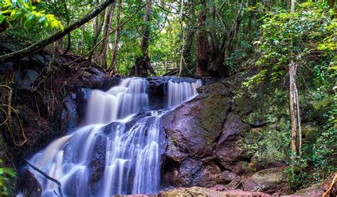 Karura Forest Nairobi