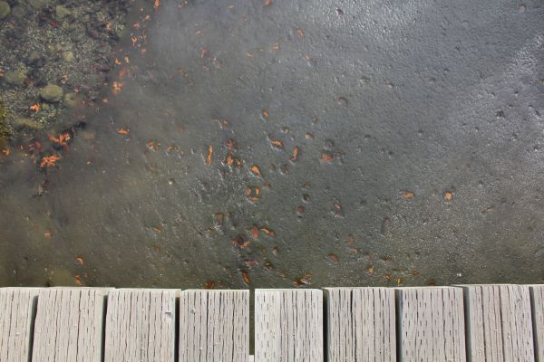 Kasugai Gardens Kelowna