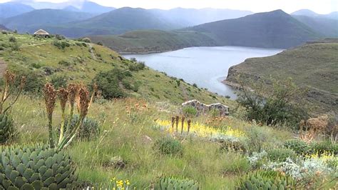 Katse Botanical Garden Lesotho