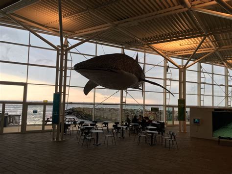 Kattegatcentret Central Jutland