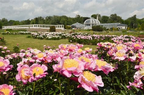 Kaunas Botanical Gardens