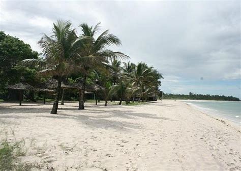 Kaya Kinondo Diani Beach