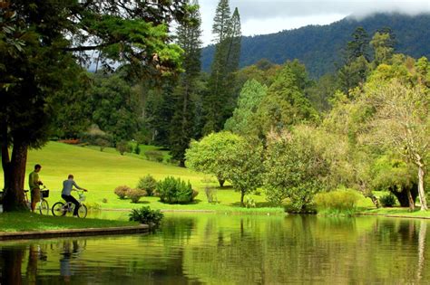Kebun Raya Cibodas West Java