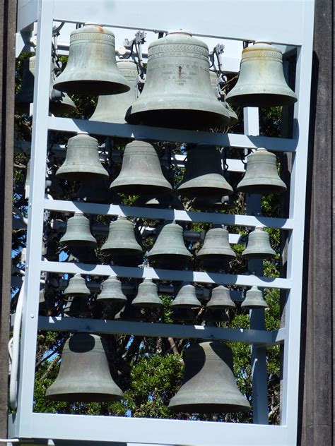 Kibby Carillon New Plymouth