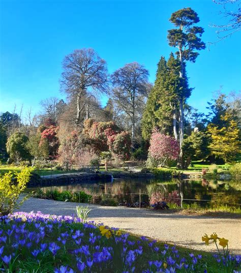 Kilmacurragh Botanic Gardens County Wicklow