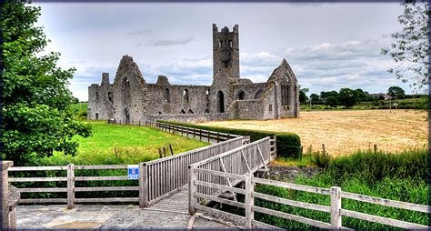 Kilmallock Abbey County Limerick