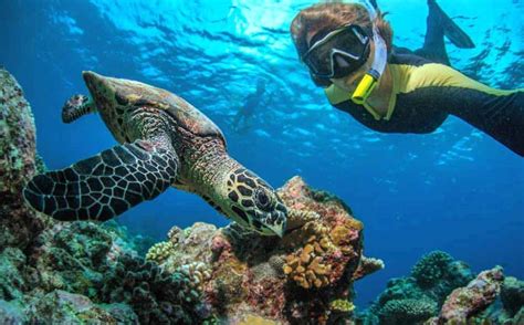 Kiunga Marine National Reserve Lamu Archipelago