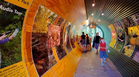 Kiwi Birdlife Park Queenstown