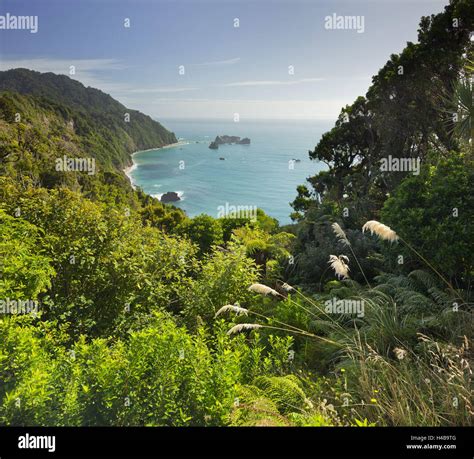 Knights Point The West Coast