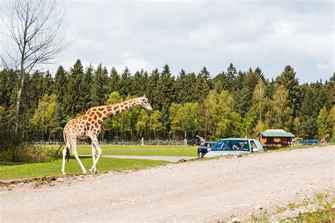 Knuthenborg Safari Park Møn, Falster & Lolland