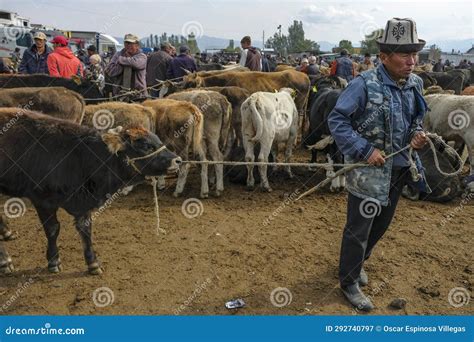 Kochkor Animal Bazaar Kyrgyzstan