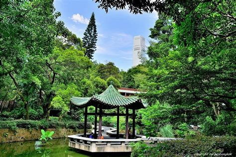 Kowloon Park