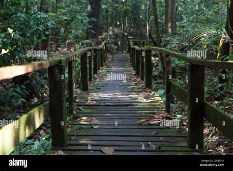 Kubah National Park Sarawak