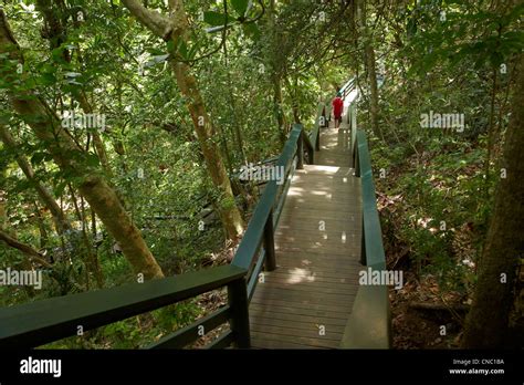Kula Eco Park Coral Coast