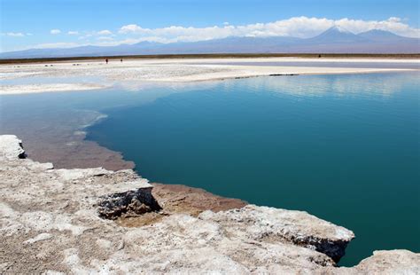 Laguna Cejar Norte Grande
