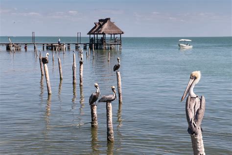 Laguna de Términos Campeche State