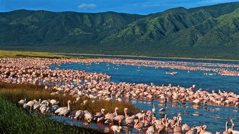 Lake Elmenteita Southern Rift Valley