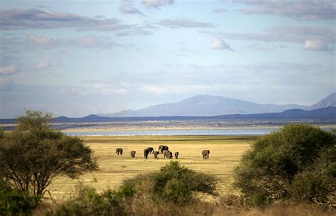 Lake Manyara National Park Northern Tanzania