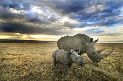 Lake Nakuru National Park Southern Rift Valley