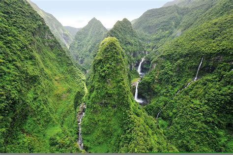 Le Jardin d'Eden Réunion