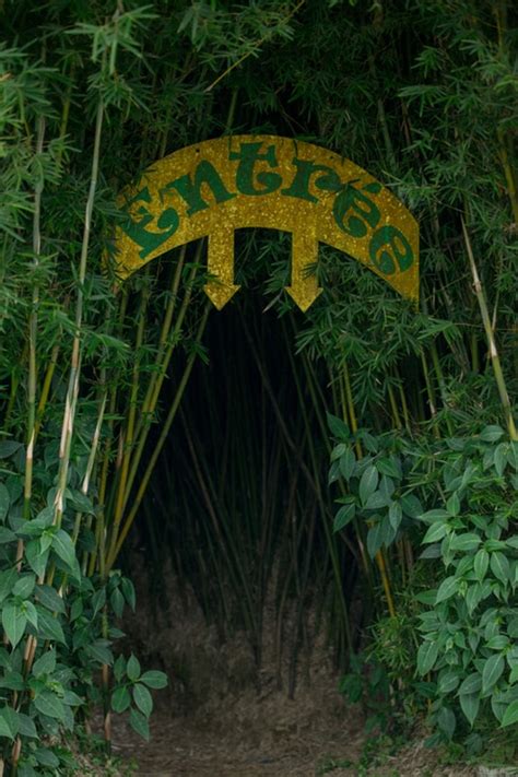 Le Labyrinthe En Champ Thé Réunion