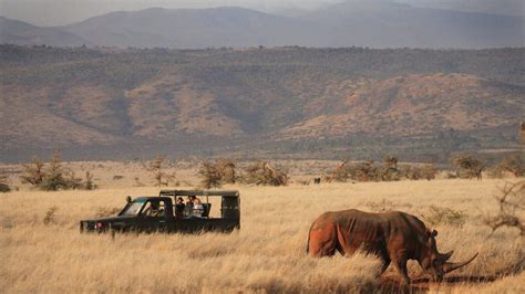 Lewa Wildlife Conservancy Laikipia Plateau