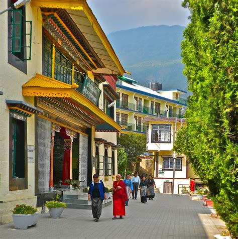 Library of Tibetan Works & Archives Mcleod Ganj